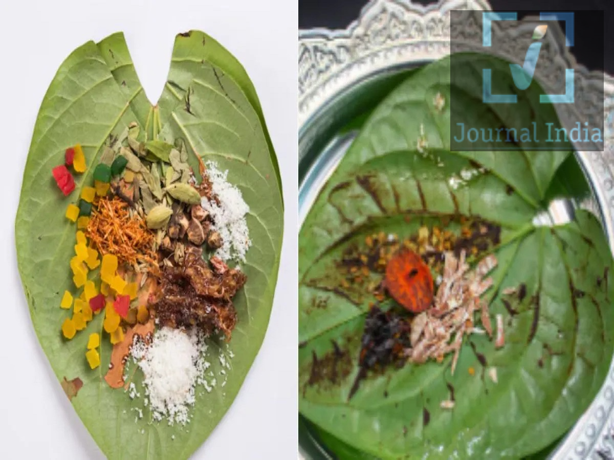 Health Tips- इन लोगों को नहीं खाना चाहिए पान, जानिए इसकी वजह दोस्तो प्राचीन काल से ही पान खाना भारतीयों की परपंरा में हैं, कई लोग इसे स्वाद के लिए खाते हैं, जबकि कुछ लोग इसमें सुपारी, तंबाकू, जर्दा या पान मसाला भी मिलाते हैं। हर तरह का पान स्वास्थ्य के लिए एक जैसा नहीं होता। तंबाकू और सुपारी वाला पान गंभीर स्वास्थ्य समस्याओं का खतरा बढ़ा सकता है। सुपारी का सेवन और तंबाकू वाले उत्पादों का इस्तेमाल मुंह के कैंसर समेत कई स्वास्थ्य जोखिमों से जुड़ा है, आइए जानते हैं किन लोगो को पान नहीं खाना चाहिए-  1. तंबाकू वाला पान पूरी तरह छोड़ना बेहतर पान में तंबाकू, जर्दा या किसी अन्य प्रकार का स्मोकलेस तंबाकू मिलाना स्वास्थ्य के लिए नुकसानदायक हो सकता है। तंबाकू मुंह और गले के कैंसर का जोखिम बढ़ाता है। निकोटीन की वजह से इसकी लत लग सकती है। लंबे समय तक इस्तेमाल करने से मुंह और दांतों की सेहत प्रभावित हो सकती है। जो लोग पहले से किसी भी रूप में तंबाकू का सेवन करते हैं, उन्हें पान में भी तंबाकू या जर्दा नहीं मिलाना चाहिए। 2. बिना तंबाकू का सुपारी वाला पान भी सुरक्षित नहीं अक्सर यह माना जाता है कि अगर पान में तंबाकू नहीं है तो वह पूरी तरह सुरक्षित है। लेकिन सुपारी यानी areca nut को भी स्वास्थ्य के लिए जोखिम वाला पदार्थ माना जाता है। IARC ने सुपारी को कार्सिनोजेनिक (कैंसर पैदा करने वाला) पदार्थ के रूप में वर्गीकृत किया है। सुपारी चबाने से ओरल सबम्यूकस फाइब्रोसिस जैसी स्थिति विकसित हो सकती है, जिसमें मुंह खोलने में परेशानी हो सकती है और मुंह के कैंसर का खतरा बढ़ सकता है। इसलिए केवल तंबाकू हटाकर सुपारी वाला पान खाना भी सुरक्षित विकल्प नहीं माना जाता। 3. किन लोगों को पान से पूरी तरह बचना चाहिए? जिन लोगों को पहले से मुंह से जुड़ी समस्याएं हैं, उन्हें विशेष सावधानी बरतनी चाहिए। खासकर यदि इनमें से कोई लक्षण मौजूद हो: बार-बार मुंह में छाले होना मुंह में सफेद या लाल धब्बे दिखाई देना मसूड़ों से खून आना मुंह खोलने में परेशानी मुंह में लगातार दर्द या सूजन लंबे समय तक घाव का ठीक न होना ऐसे लक्षणों को केवल पान खाने का सामान्य प्रभाव समझकर नजरअंदाज नहीं करना चाहिए। लगातार रहने वाले घाव, दर्द, सूजन या रक्तस्राव की स्थिति में डेंटिस्ट या डॉक्टर से जांच कराना जरूरी है। 4. बच्चों और किशोरों को रखें दूर बच्चों और किशोरों को तंबाकू या सुपारी वाले पान से पूरी तरह दूर रखना चाहिए। कम उम्र में इन पदार्थों का सेवन शुरू होने से आगे चलकर इनके इस्तेमाल की आदत और स्वास्थ्य संबंधी जोखिम बढ़ सकते हैं। 5. पान के सभी प्रकार एक जैसे नहीं होते पान में इस्तेमाल होने वाली हर सामग्री का स्वास्थ्य पर प्रभाव समान नहीं होता। लेकिन अगर इसमें तंबाकू, जर्दा या सुपारी शामिल है, तो इसे सुरक्षित मानना उचित नहीं है।