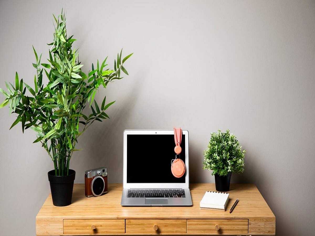 Vastu Tips – Never keep these things in the bedroom; let’s find out more about them.