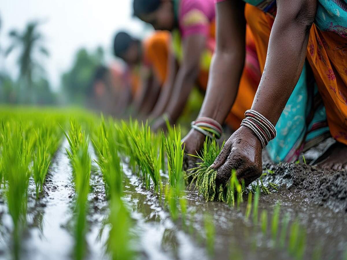 PMKSNY – Can women avail the benefits of the PM Kisan Yojana? Find out the rules related to it.