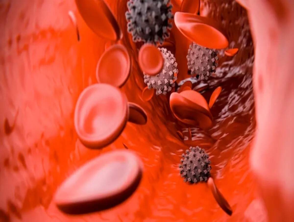 Causes of Iron Deficiency: Iron deficiency in the body can lead to serious diseases—here is how to replenish it.