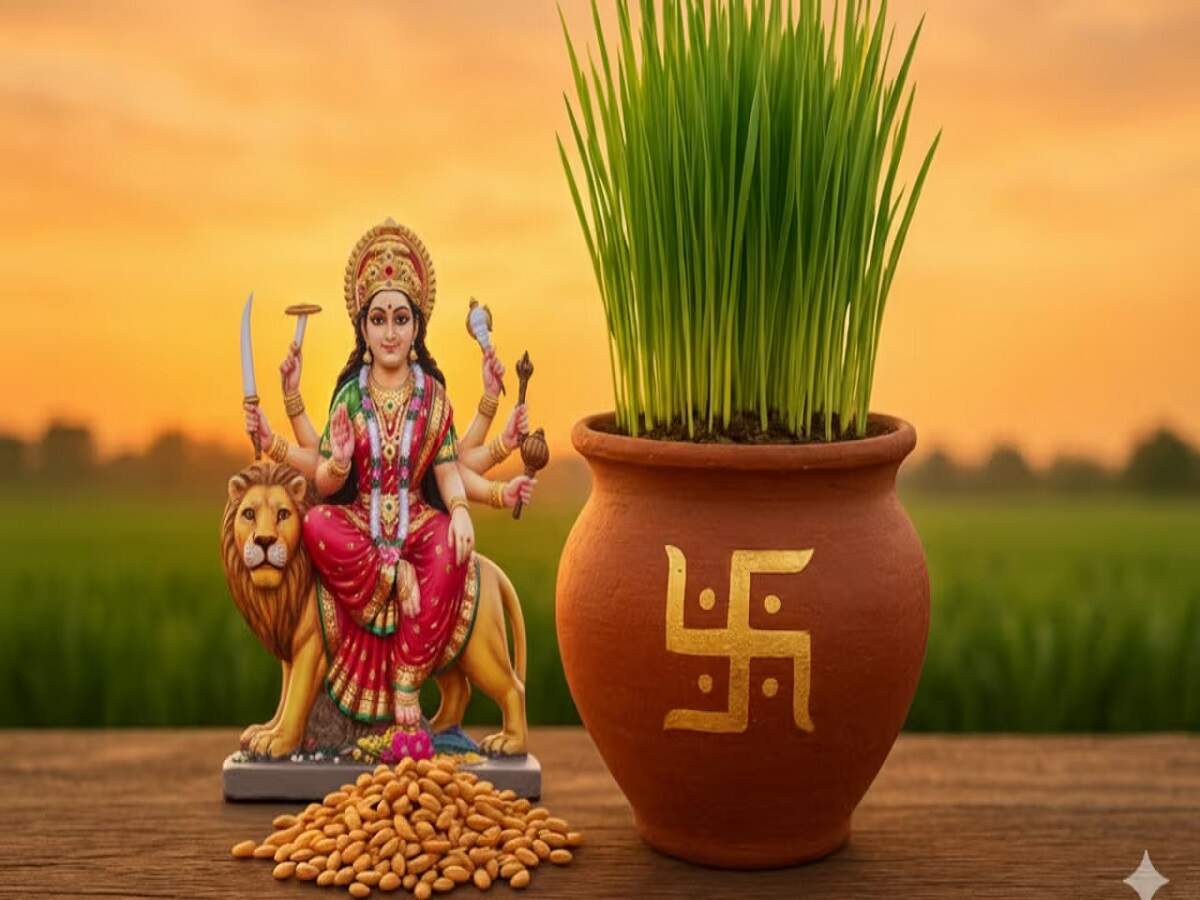 Navratri Tips: Avoid these mistakes while sowing barley during Shardiya Navratri—find out what they are.
