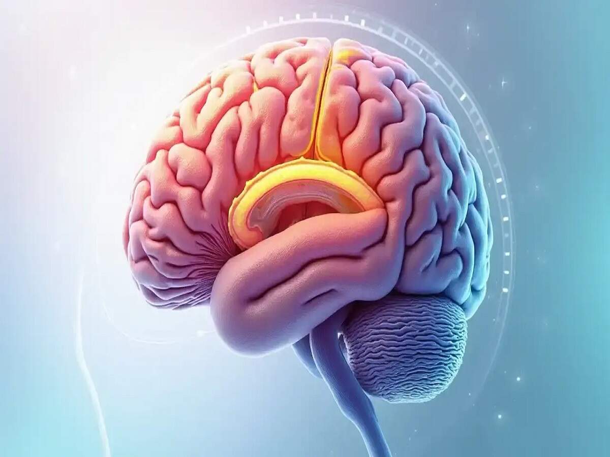 Health Tips- स्ट्रोक के इन लक्षणों को न करें नजरअंदाज, हर मिनट हैं कीमती