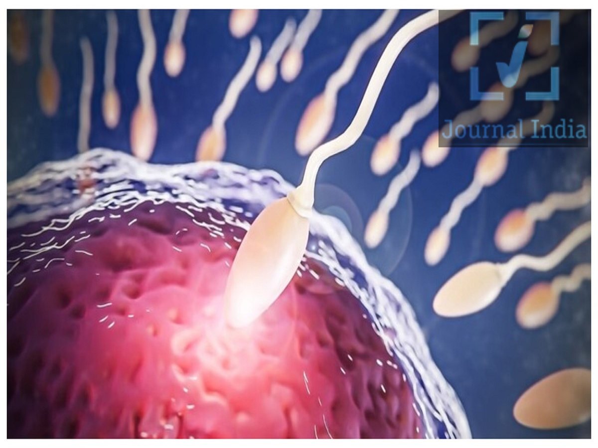 Sperm