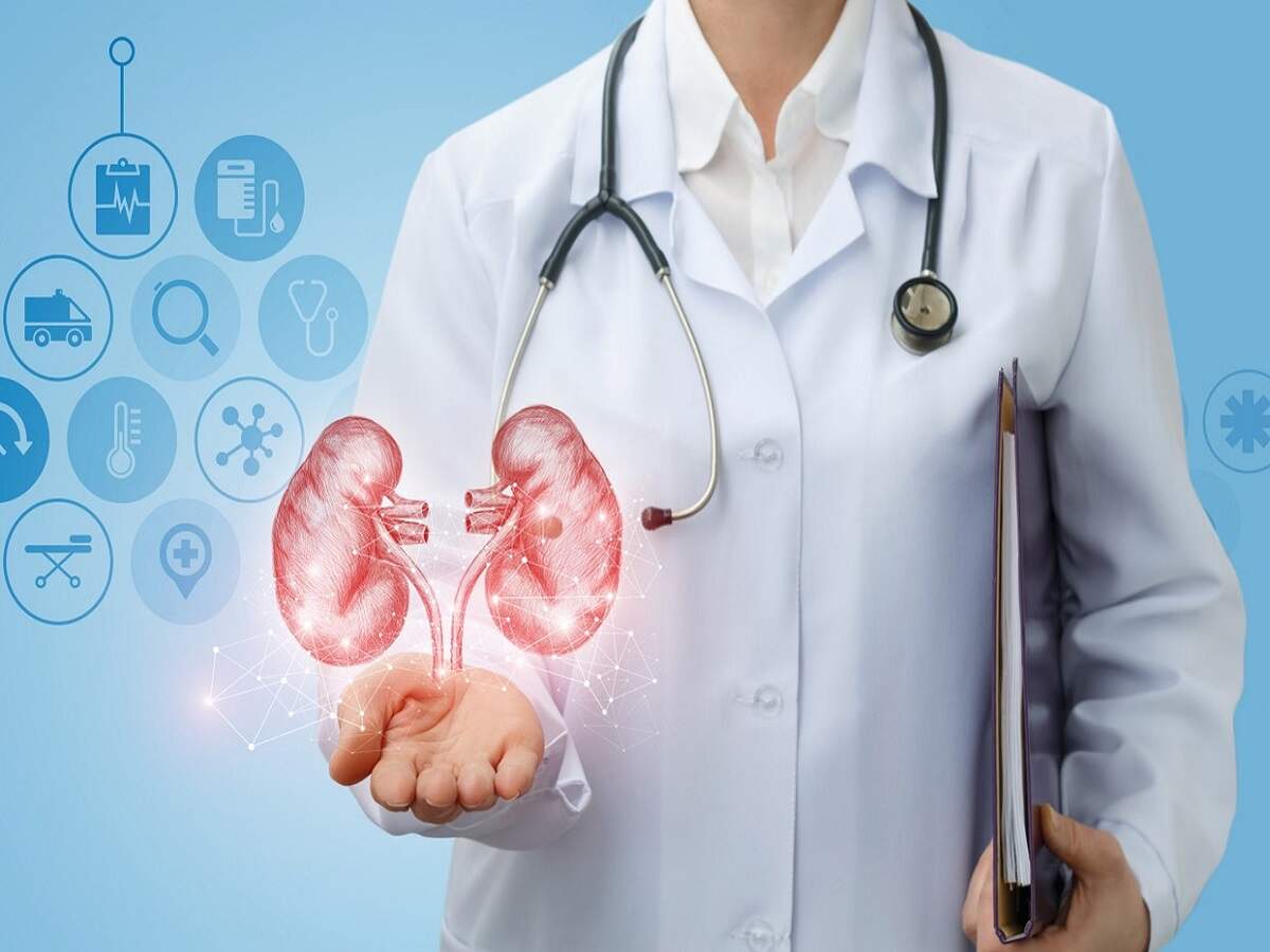 Health Tips: Does sitting for long periods have a negative impact on the kidneys? Let's find out.
