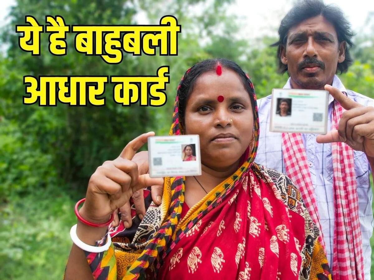 Aadhaar Card – What is a masked Aadhaar card? Let’s find out how it works.