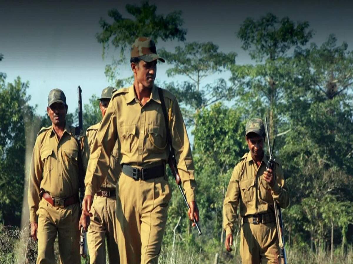 BPSSC Recruitment 2026: BPSSC announces recruitment for Forest Range Officer posts; here’s how to apply.