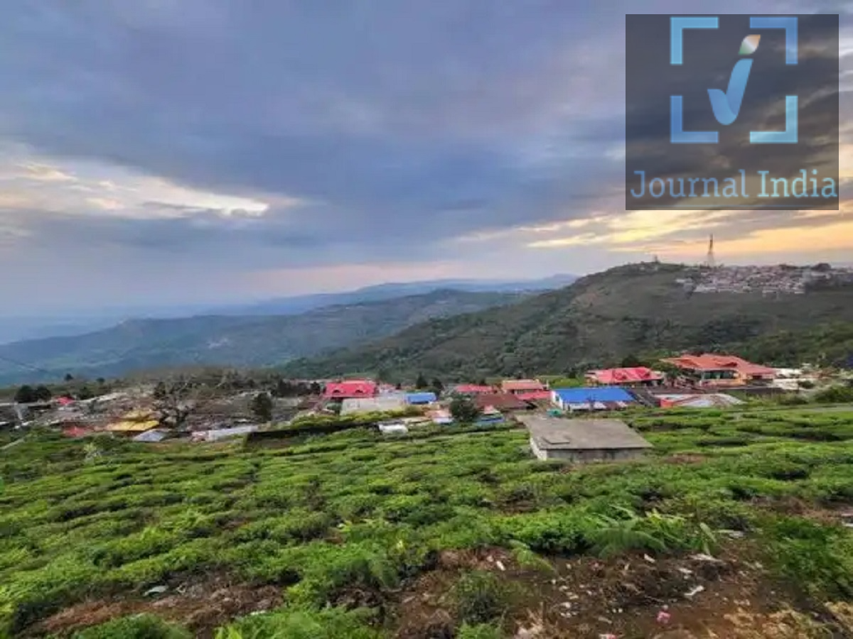 Travel Tips- सुकून पाने के लिए वेस्ट बंगाल का 'Land of White Orchids' हैं परफेक्च प्लेस, जानिए पूरी डिटेल्स दोस्तो अक्टूबर का महीना घूमने के लिए परफेक्ट हैं और आप शहर भीड़भाड़ से परेशान हो गए हैं और सुकून पाना चाहते हैं, जहां पहाड़, हरियाली, चाय के बागान, ठंडी हवा और शांति एक साथ मिल जाए, लेकिन दार्जिलिंग जैसी ज्यादा भीड़ न हो, तो कर्सियांग (Kurseong), पश्चिम बंगाल आपके लिए शानदार विकल्प हो सकता है। दार्जिलिंग और सिलीगुड़ी के बीच बसा कर्सियांग अपनी प्राकृतिक खूबसूरती, चाय के बागानों, घने जंगलों और पुराने ब्रिटिशकालीन भवनों के लिए जाना जाता है। इसे "Land of White Orchids" के नाम से भी जाना जाता है। अक्टूबर में Kurseong घूमना क्यों है खास? अक्टूबर में मानसून के बाद पहाड़ी मौसम धीरे-धीरे साफ होने लगता है। इस दौरान आसमान साफ मिलने पर आसपास के पहाड़ों और घाटियों के खूबसूरत नजारे देखने को मिल सकते हैं। सितंबर से नवंबर के बीच का समय कर्सियांग घूमने के लिए अच्छा माना जाता है। सुबह के समय पहाड़ों पर हल्की धुंध, चारों तरफ फैले चाय के बागान और ठंडी हवाएं इस जगह के अनुभव को और खास बना देती हैं। अगर आप ऐसी ट्रिप चाहते हैं जिसमें ज्यादा भीड़-भाड़ के बजाय शांति, प्रकृति और सुकून मिले, तो कर्सियांग को अपनी लिस्ट में शामिल कर सकते हैं। Kurseong में क्या-क्या देख सकते हैं? 1. Eagle's Crag View Point कर्सियांग के प्रमुख व्यू पॉइंट्स में Eagle's Crag शामिल है। यहां से आसपास की पहाड़ियों और मैदानों के शानदार नजारे दिखाई देते हैं। मौसम साफ होने पर हिमालयी क्षेत्र का दृश्य बेहद खूबसूरत नजर आता है। 2. Makaibari Tea Estate कर्सियांग की पहचान यहां के चाय बागानों से भी जुड़ी है। Makaibari Tea Estate समेत आसपास के चाय बागानों में जाकर पर्यटक चाय की खेती और स्थानीय चाय संस्कृति को करीब से देख सकते हैं। 3. Dow Hill प्रकृति और रहस्यमयी वातावरण पसंद करने वाले लोगों के लिए Dow Hill आकर्षण का केंद्र है। यहां घने जंगलों और शांत पहाड़ी वातावरण का अनुभव किया जा सकता है। 4. पुराने चर्च और औपनिवेशिक इमारतें कर्सियांग में कई पुराने चर्च और ब्रिटिशकालीन इमारतें भी देखने को मिलती हैं। इसलिए यह जगह सिर्फ प्रकृति प्रेमियों के लिए ही नहीं, बल्कि इतिहास और वास्तुकला में रुचि रखने वाले लोगों के लिए भी अच्छी है। Toy Train की सवारी जरूर करें कर्सियांग से होकर Darjeeling Himalayan Railway गुजरती है। इस ऐतिहासिक रेलवे को UNESCO World Heritage Site का दर्जा प्राप्त है। अगर आपकी यात्रा के दौरान ट्रेन सेवा उपलब्ध हो, तो Toy Train की सवारी पहाड़ी सफर को यादगार बना सकती है। हालांकि, यात्रा से पहले ट्रेन का ताजा शेड्यूल और संचालन की स्थिति जरूर जांच लें।