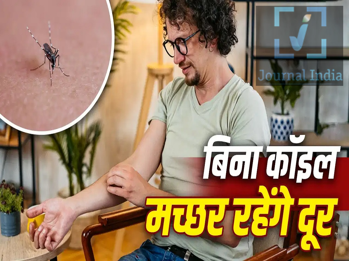 Monsoon Tips- क्या मच्छरों ने कर दिया है हाल-बेहाल, तो अपनाएं ये तरीके दोस्तो बारिश के मौसम में गंदा पानी आसपास में जमने से मच्छरों की संख्या बढ़ जाती हैं, मच्छरों की वजह से डेंगू, मलेरिया और चिकनगुनिया जैसी बीमारियों का खतरा भी बढ़ा सकता है। छोटे बच्चों वाले घरों में मच्छर भगाने के लिए कॉइल का इस्तेमाल करना भी हर किसी के लिए उचित नहीं माना जाता, क्योंकि इसके धुएं से आंखों और सांस लेने में परेशानी हो सकती है। तो आइए जानते हैं मच्छरों को कैसे भगाएं-  सबसे पहले रोकें मच्छरों की ब्रीडिंग मच्छरों से बचाव का सबसे जरूरी तरीका है कि घर के आसपास पानी जमा न होने दें। गमलों की ट्रे, पुराने डिब्बे, टायर, कूलर और अन्य बर्तनों में जमा पानी नियमित रूप से खाली करें। कूड़ेदान को साफ और सूखा रखें। घर में कहीं भी पानी जमा न होने दें। कूलर का पानी नियमित रूप से बदलें और साफ करें। गमलों और उनकी प्लेटों में पानी जमा न रहने दें। दरवाजों और खिड़कियों पर जाली लगाएं। 1. मच्छर भगाने वाले पौधे लगाएं घर के दरवाजों, खिड़कियों और बालकनी के आसपास कुछ सुगंधित पौधे लगाए जा सकते हैं। लेमनग्रास, लैवेंडर, पुदीना, गेंदा और तुलसी जैसे पौधे घर की खूबसूरती बढ़ाने के साथ तेज खुशबू के कारण मच्छरों को कुछ हद तक दूर रखने में मदद कर सकते हैं। 2. नीम का करें इस्तेमाल नीम की पत्तियों की पारंपरिक रूप से मच्छर भगाने के लिए इस्तेमाल किया जाता रहा है। सूखी नीम की पत्तियों को जलाने से निकलने वाला धुआं कुछ समय के लिए मच्छरों को दूर रखने में मदद कर सकता है। लेकिन घर के अंदर धुआं करना बच्चों, बुजुर्गों या सांस संबंधी परेशानी वाले लोगों के लिए परेशानी पैदा कर सकता है। इसलिए कमरे में धुआं करने से पहले पर्याप्त सावधानी रखें और हवा का उचित वेंटिलेशन बनाए रखें। 3. प्राकृतिक मच्छर रिपेलेंट स्प्रे घर पर एक आसान स्प्रे तैयार करने के लिए पानी में थोड़ी मात्रा में नीम तेल और उपयुक्त एसेंशियल ऑयल मिलाया जा सकता है। इसे स्प्रे बोतल में भरकर खिड़कियों, दरवाजों और कमरे के कोनों के आसपास इस्तेमाल किया जा सकता है। 4. कॉफी की खुशबू का उपाय सूखे कॉफी ग्राउंड्स की तेज खुशबू को मच्छरों को दूर रखने के लिए इस्तेमाल करने का घरेलू तरीका भी प्रचलित है। हालांकि, इसे जलाकर धुआं पैदा करने से घर के अंदर धुएं और आग का जोखिम हो सकता है।  5. नींबू और लौंग का उपाय नींबू और लौंग का इस्तेमाल भी मच्छरों को दूर रखने के घरेलू उपायों में किया जाता है। इसके लिए नींबू को आधा काटकर उसमें लौंग लगाकर कमरे में रखा जाता है। लौंग में मौजूद यूजेनॉल और नींबू की खुशबू कुछ हद तक मच्छरों को दूर रखने में मदद कर सकती है। मच्छरों से बचाव के लिए जरूरी बातें मानसून में मच्छरों से बचने के लिए केवल घरेलू नुस्खों पर निर्भर रहने के बजाय घर की साफ-सफाई और मच्छरों की ब्रीडिंग रोकने पर सबसे ज्यादा ध्यान दें। सोते समय मच्छरदानी का इस्तेमाल करें और जरूरत पड़ने पर प्रमाणित मच्छर रिपेलेंट का उपयोग करें।